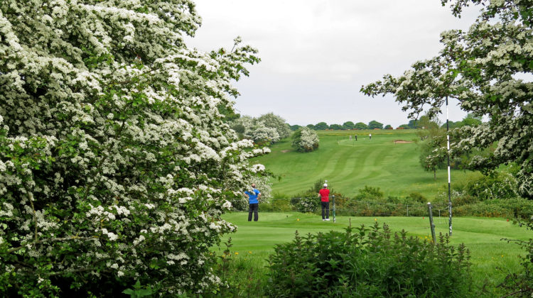 A view of the par 4 13th at Beverley & East Riding Golf Club from behind the tee