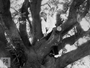 The iconic image of Bernhard Langer playing his 3rd shot from a tree during the 1981 Benson & Hedges International Open