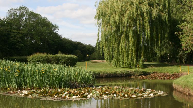 A stunning view of a pond in front of one of greens at Holme Hall Golf Club