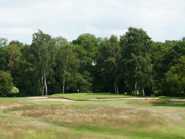 A view of the Par 3 12th, by kind permission of Elsham Golf Club