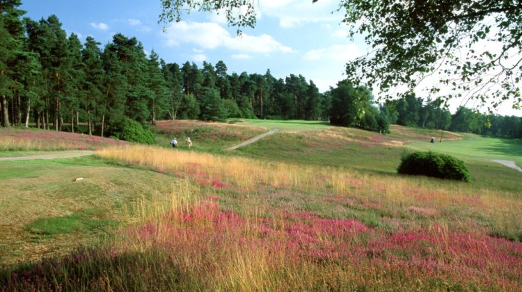 A view of the 7th hole on the Red Course, by kind permission of The Berkshire Golf Club
