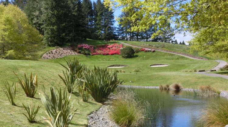By kind permission of Wairakei Golf + Sanctuary, Taupo, New Zealand