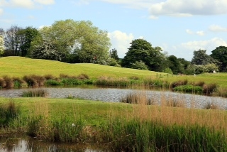 A view of Ingleby Barwick Golf Course, by kind permission of Ingleby Barwick Golf Academy