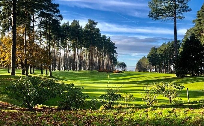 A view of Forest Pines Golf Course, by kind permission of David Edwards / International Trick Golf Show