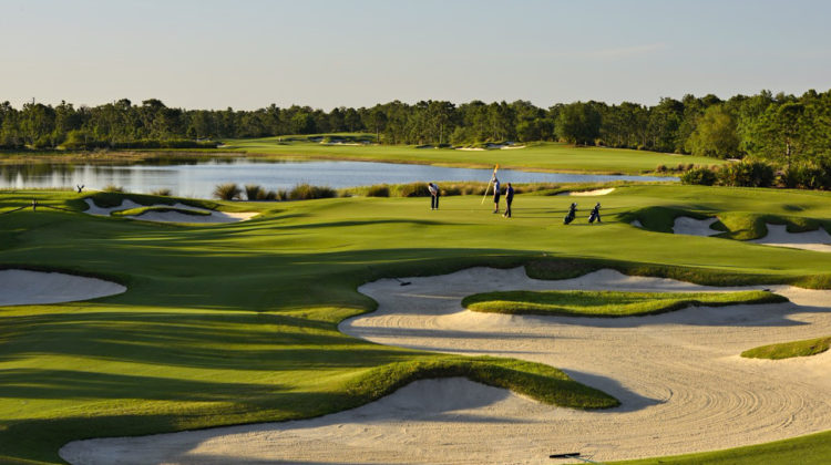 A view of the Concession Golf Course, by kind permission of Image Suite PR and The Concession Golf Club