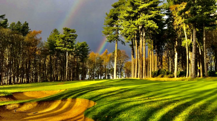 A view of Forest Pines Golf Course, by kind permission of David Edwards / International Trick Golf Show