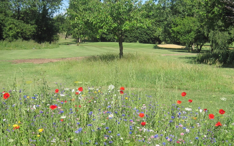 A view of the Par 3 5th, by kind permission of The Cambridgeshire Golf Club
