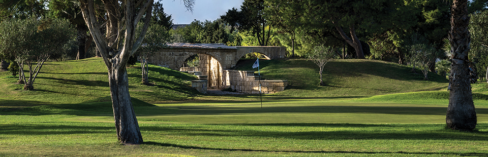 A view of the green at the Par 3 6th Hole, by kind permission of Royal Malta Golf Club