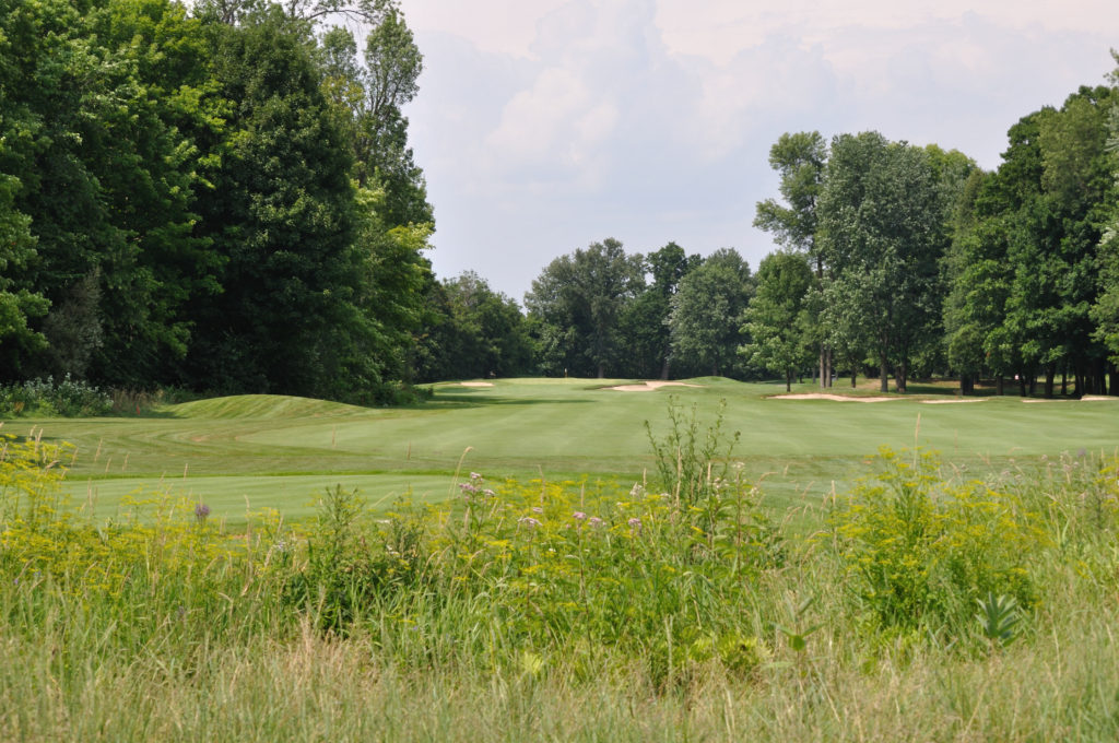A view of the Par 5 17th Hole at Rivermead Golf Club...Photograph by Mark Hollingworth, kindly supplied by Margaret McLaren