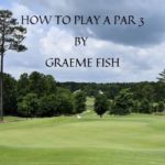 A view of a Par 3 green used as the featured image for the article 'How to play a Par 3'